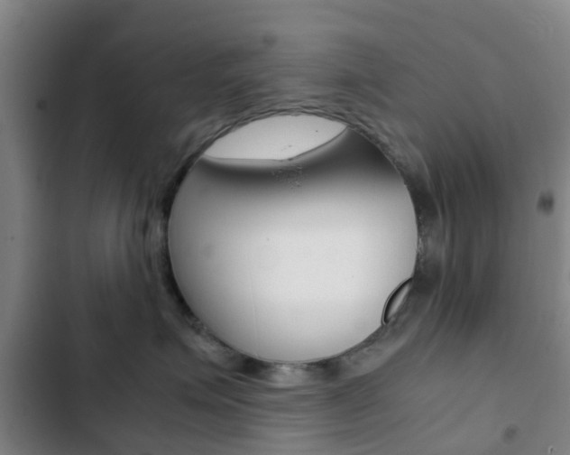 X0000103270623200808291108