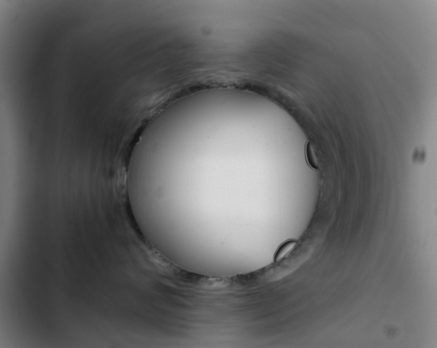 X0000103270624200808291108