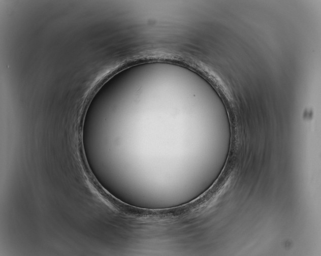 X0000103270625200808291108