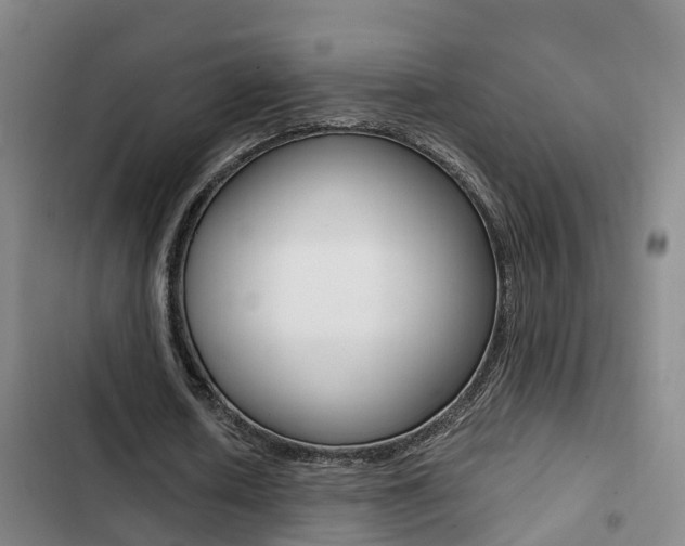 X0000103270626200808291108