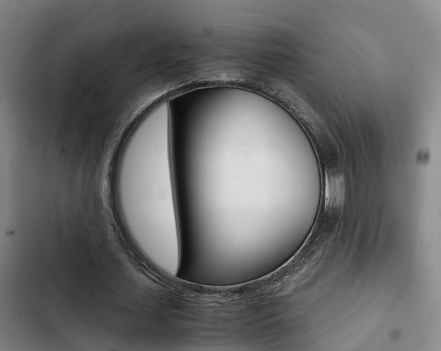 X0000103270627200808291108