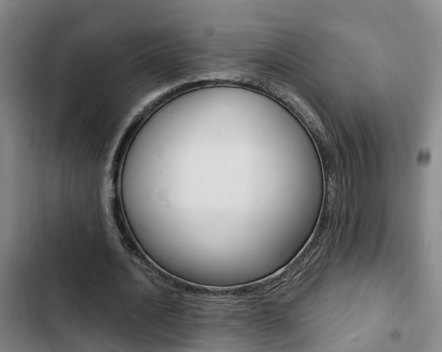 X0000103270628200808291108