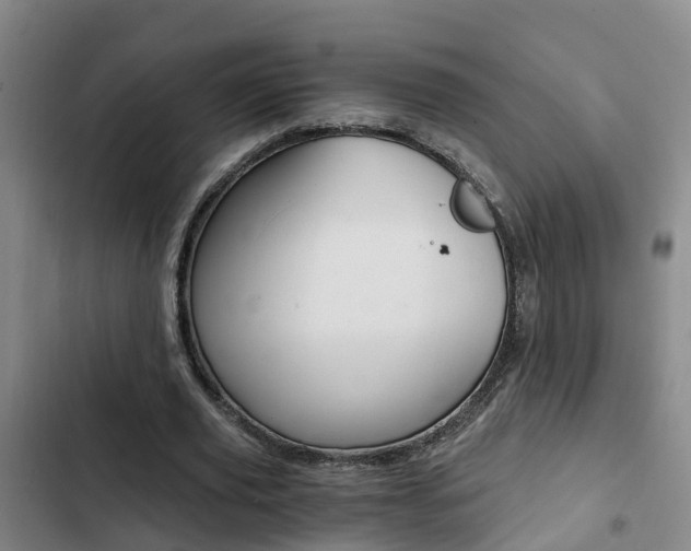 X0000103270629200808291108