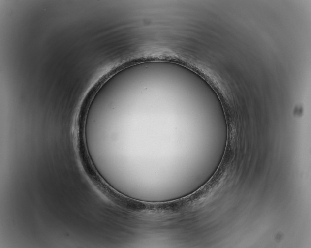 X0000103270630200808291108