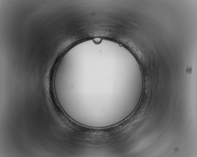 X0000103270631200808291108