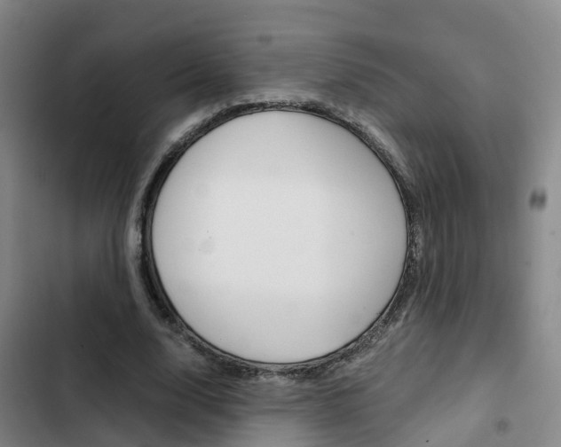 X0000103270632200808291108