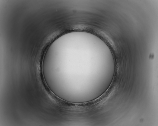 X0000103270633200808291108
