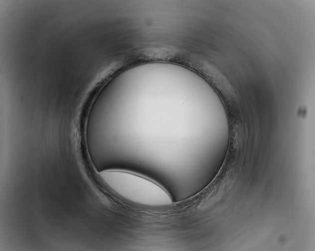 X0000103270634200808291108