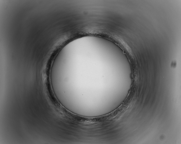X0000103270635200808291108
