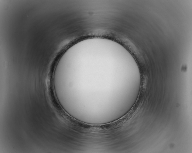 X0000103270636200808291108