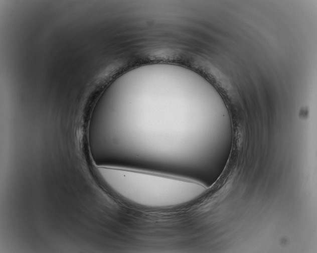 X0000103270637200808291108