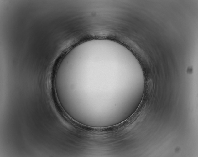 X0000103270638200808291108