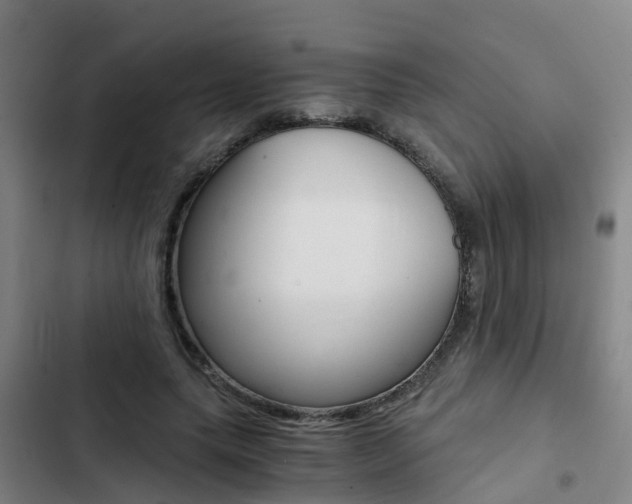 X0000103270639200808291108