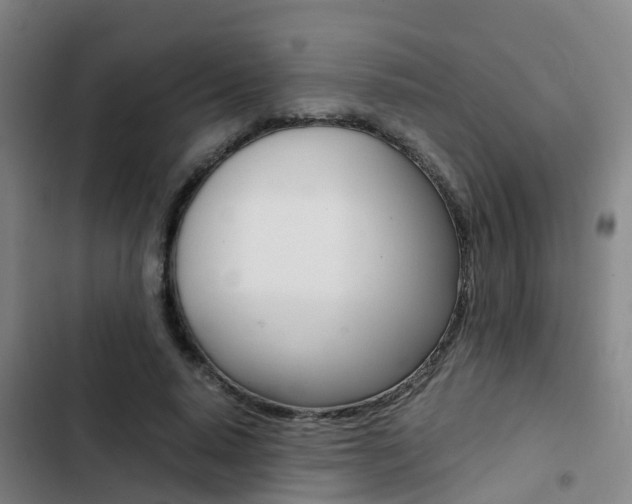 X0000103270640200808291108