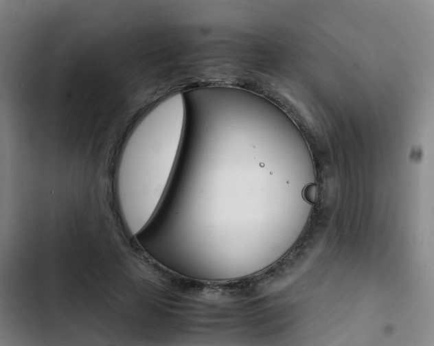 X0000103270641200808291108
