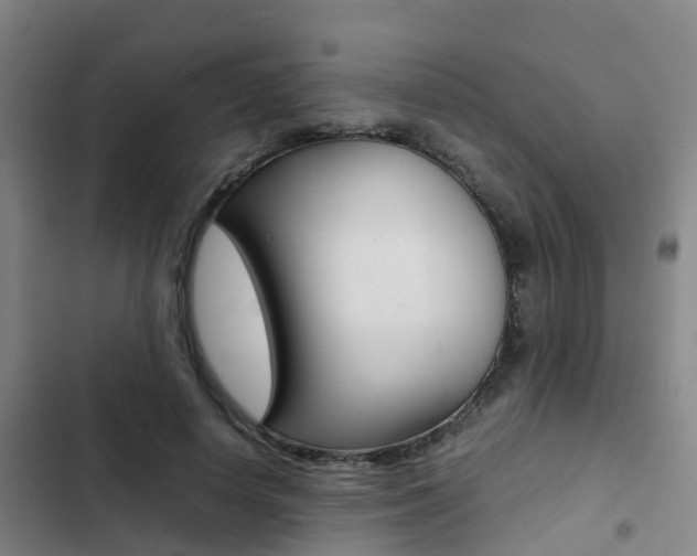 X0000103270642200808291108