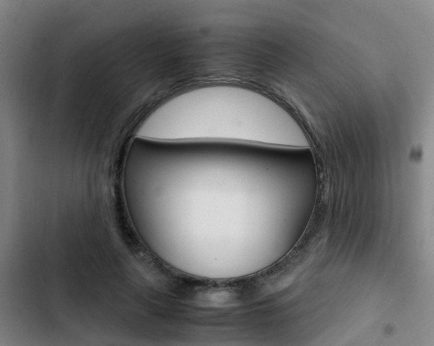X0000103270643200808291108