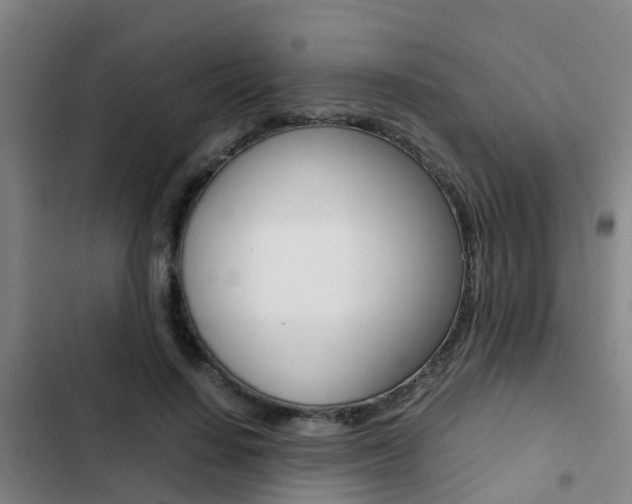 X0000103270644200808291108