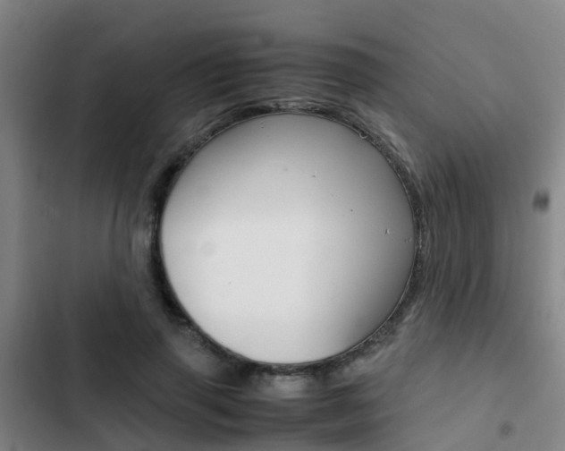 X0000103270645200808291108
