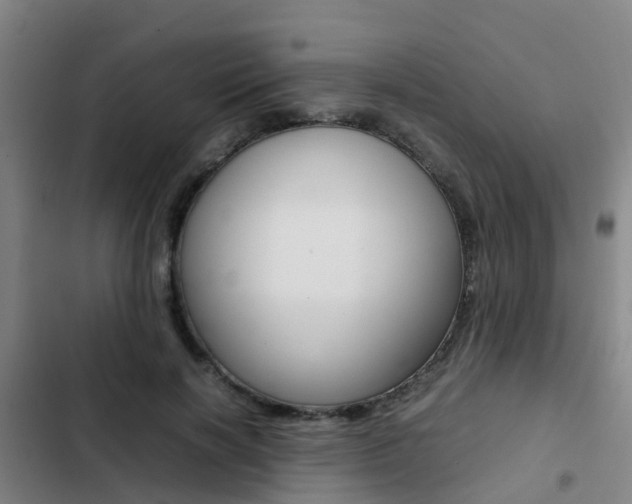 X0000103270646200808291108