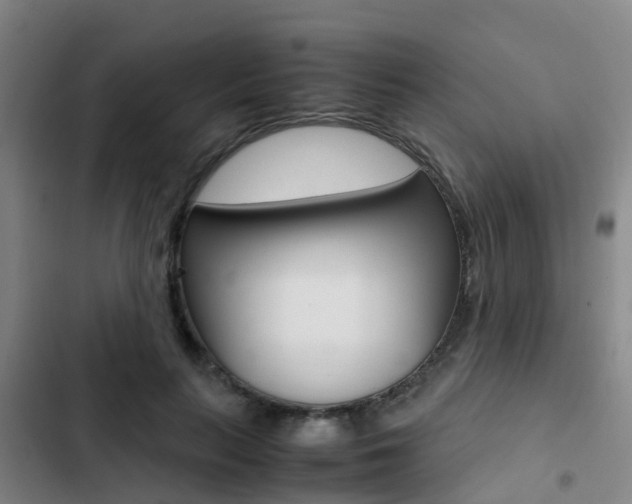 X0000103270647200808291108