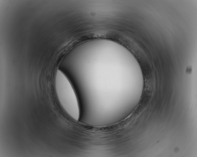 X0000103270648200808291108