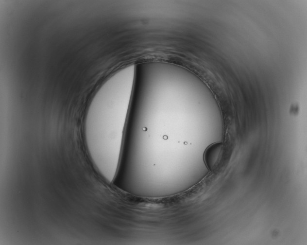 X0000103270649200808291108