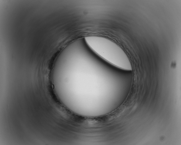 X0000103270650200808291108