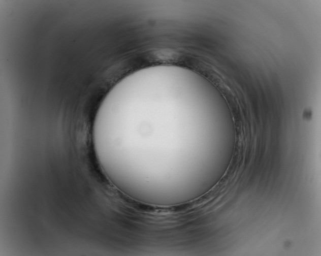 X0000103270651200808291108