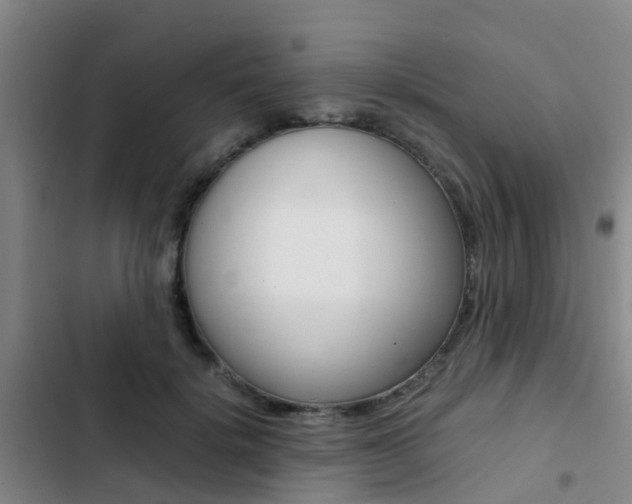 X0000103270652200808291108