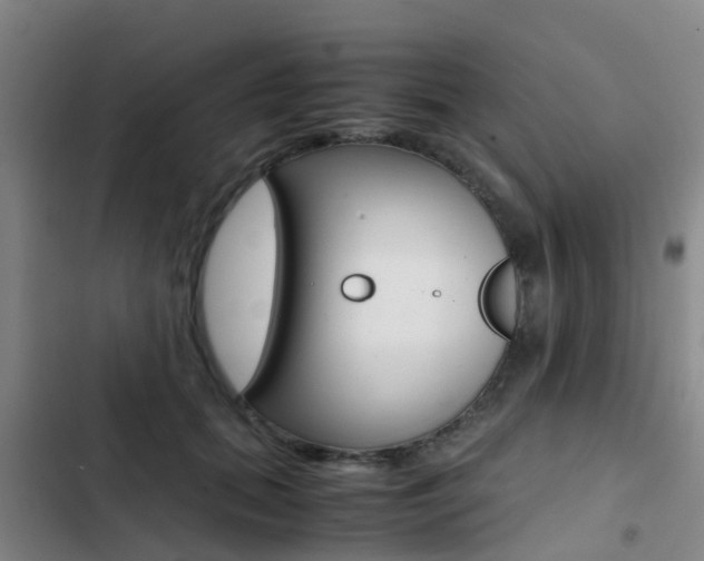 X0000103270655200808291108