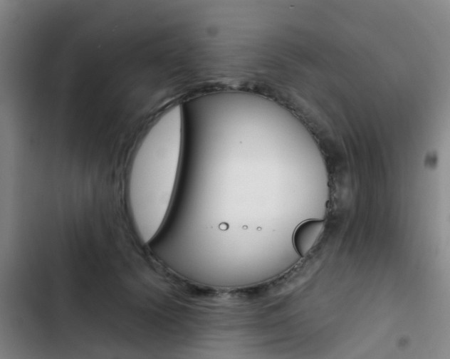 X0000103270656200808291108