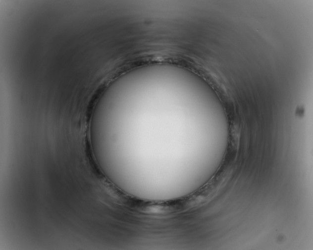 X0000103270657200808291108