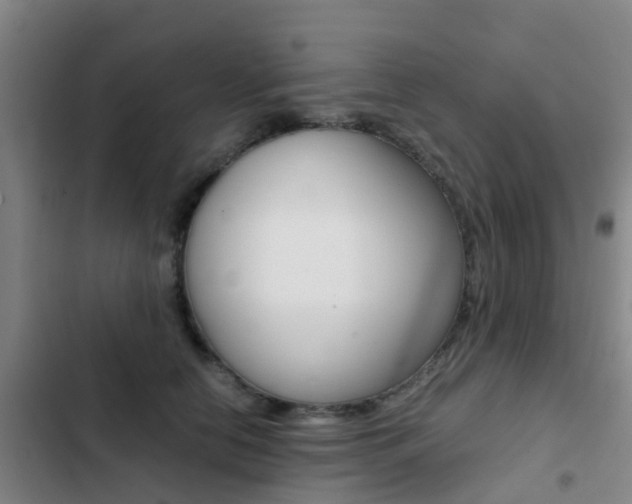 X0000103270658200808291108
