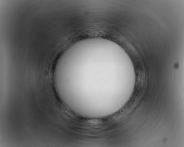 X0000103270659200808291108