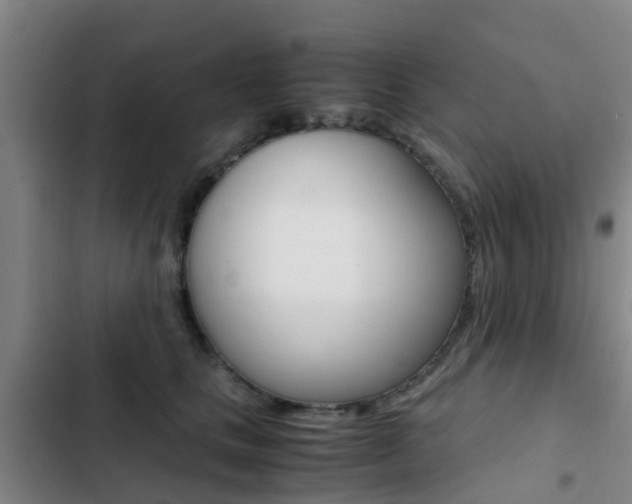 X0000103270661200808291108