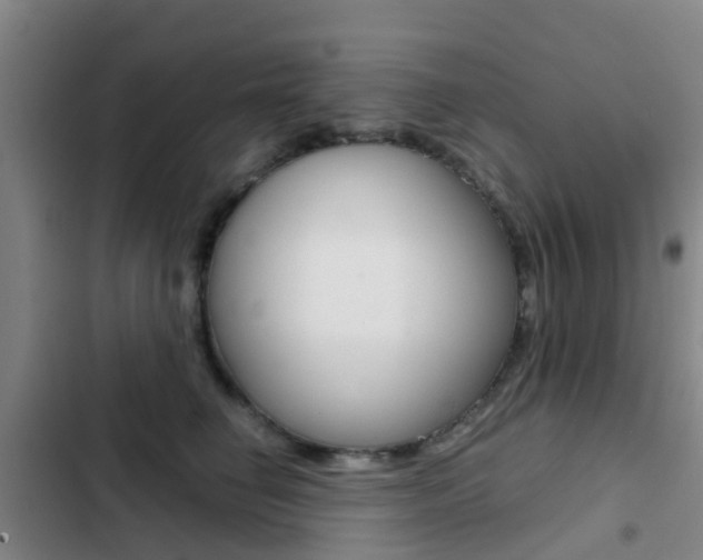 X0000103270662200808291108