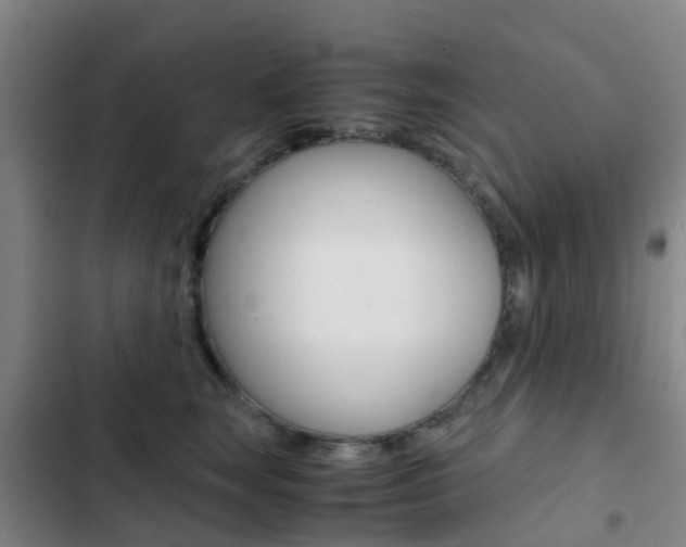 X0000103270663200808291108