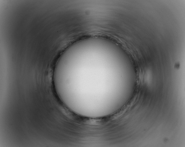 X0000103270664200808291108