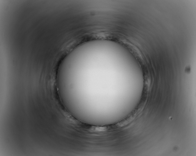 X0000103270665200808291108