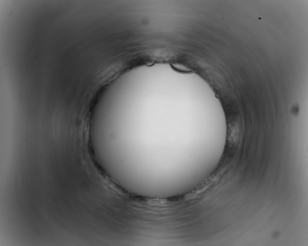 X0000103270666200808291108