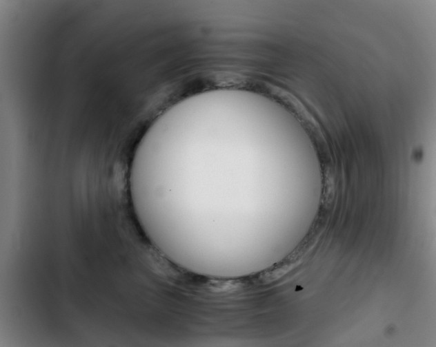 X0000103270667200808291108