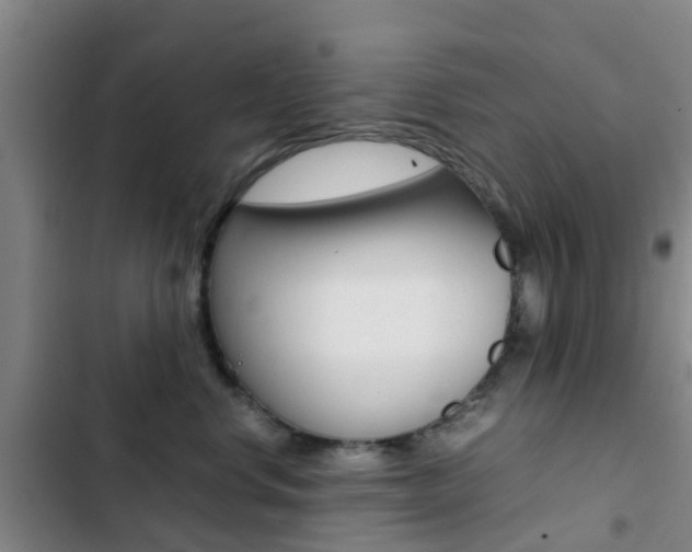 X0000103270668200808291108