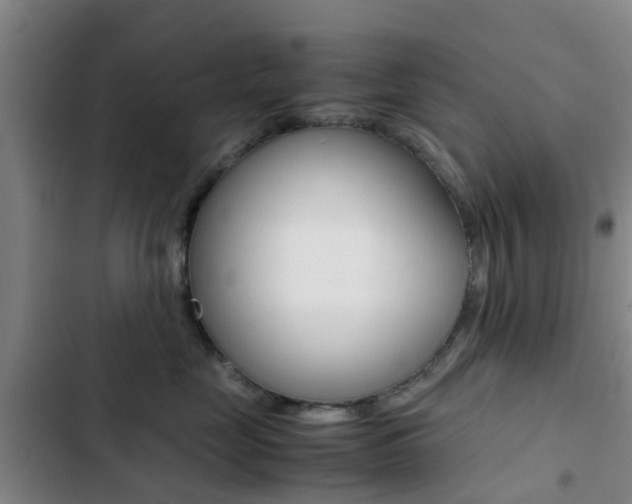 X0000103270669200808291108