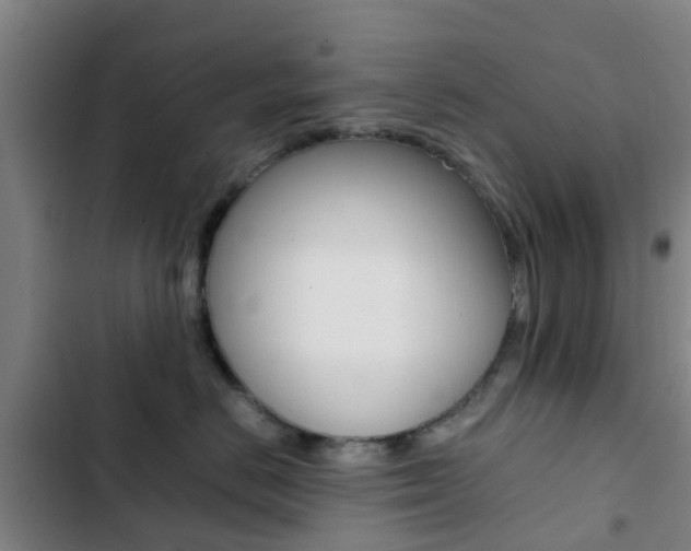 X0000103270670200808291108