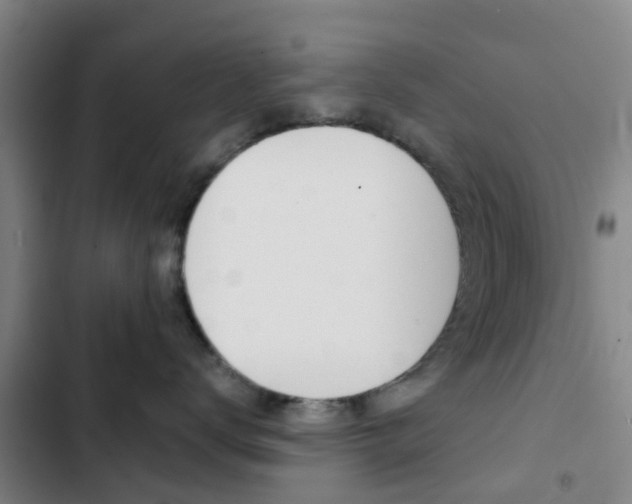 X0000103270672200808291108
