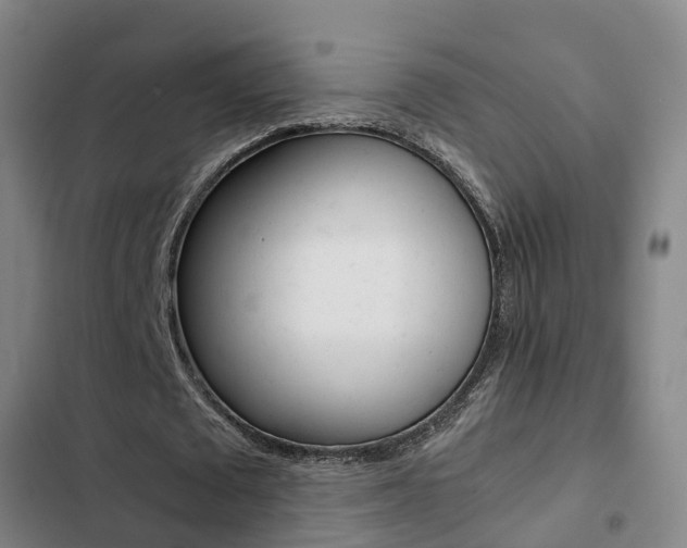 X0000103270673200808291108