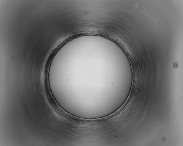 X0000103270674200808291108