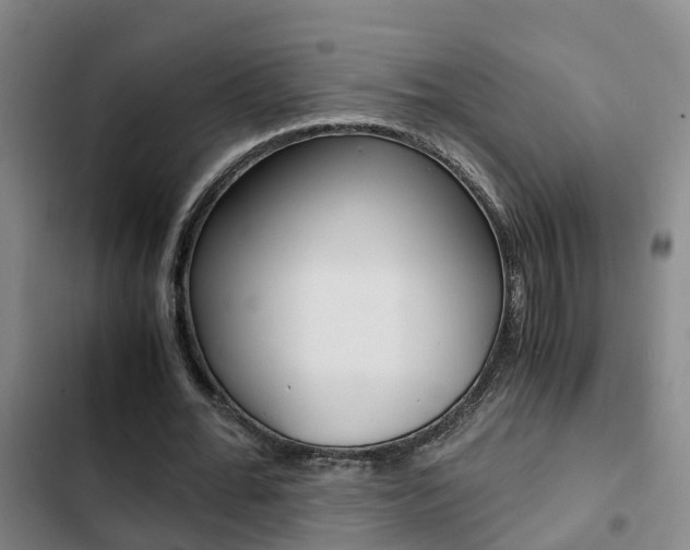 X0000103270676200808291108