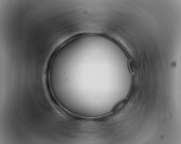 X0000103270677200808291108